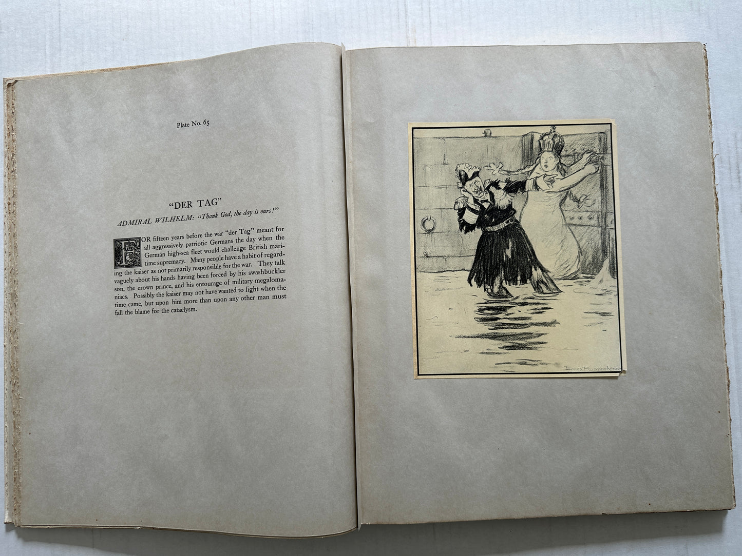 The Century Edition de Luxe of Raemaekers' War Cartoons [Volume 2 ONLY)