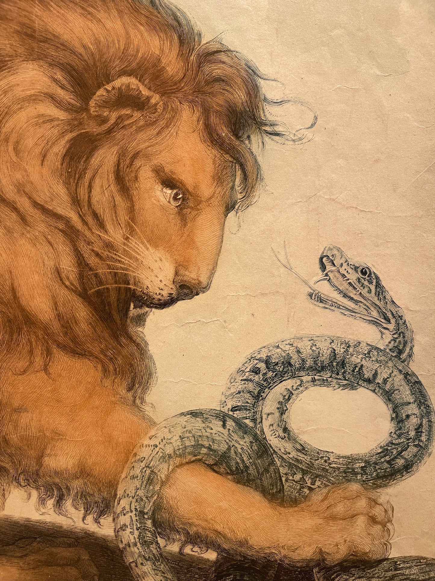 Samuel William I Reynolds Color Mezzotint (after James Northcote): "Lion and Snake"