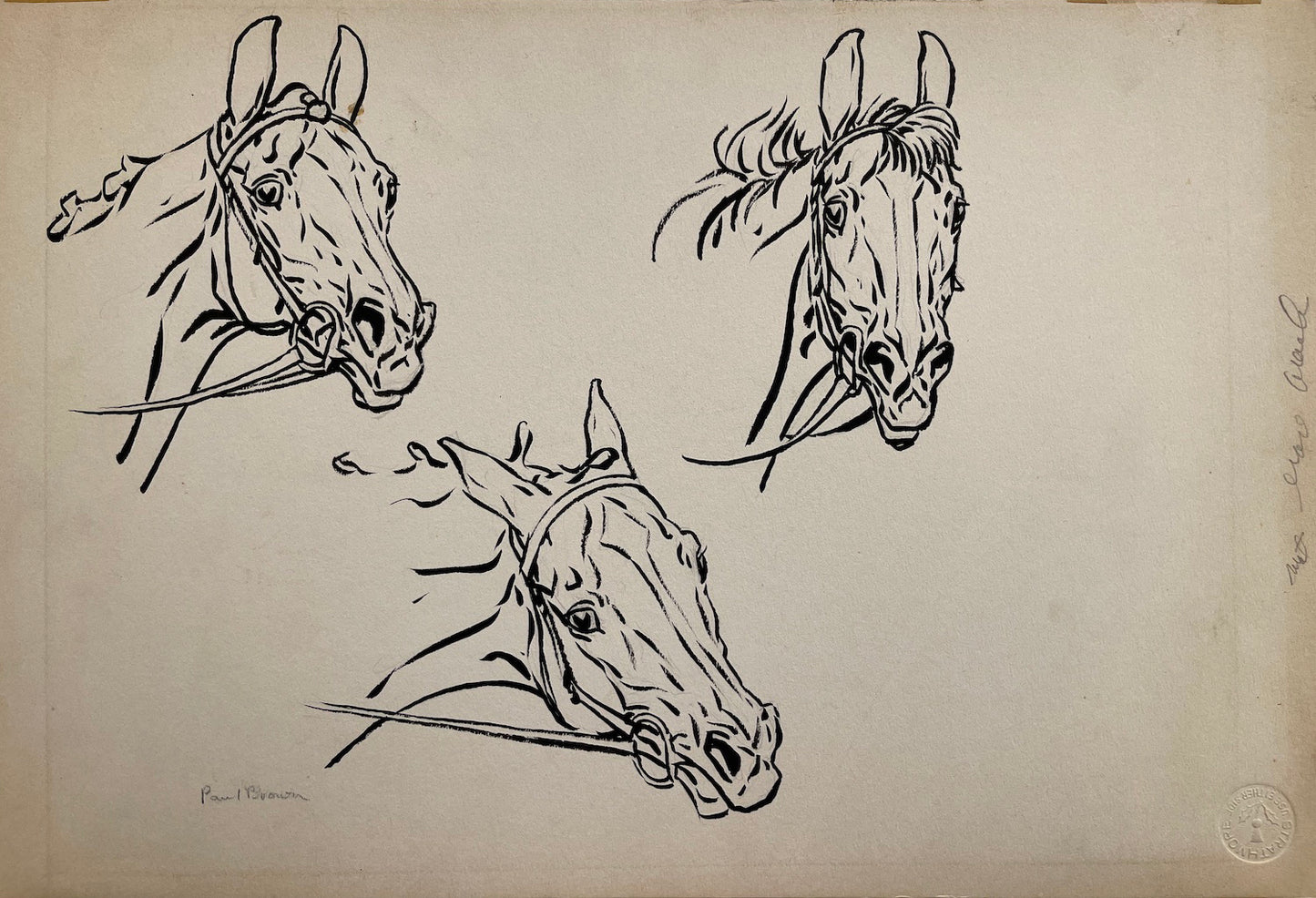 Paul Brown Drawing: Horse Head Study