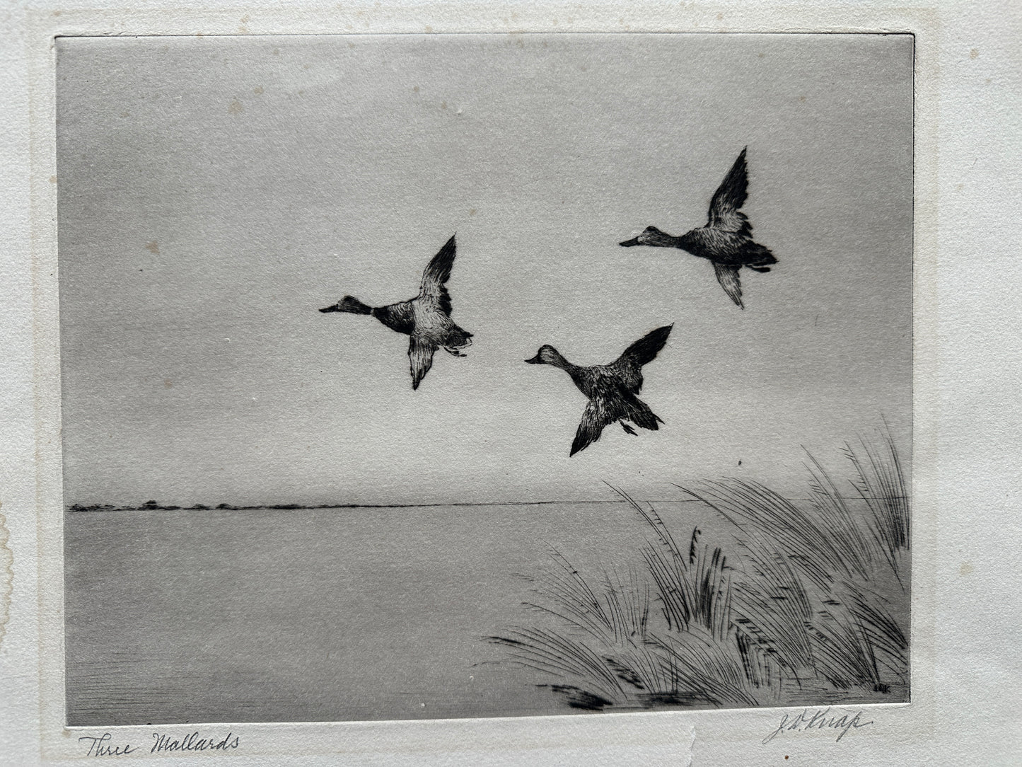 Joseph Day Knap Etching: "Three Mallards"