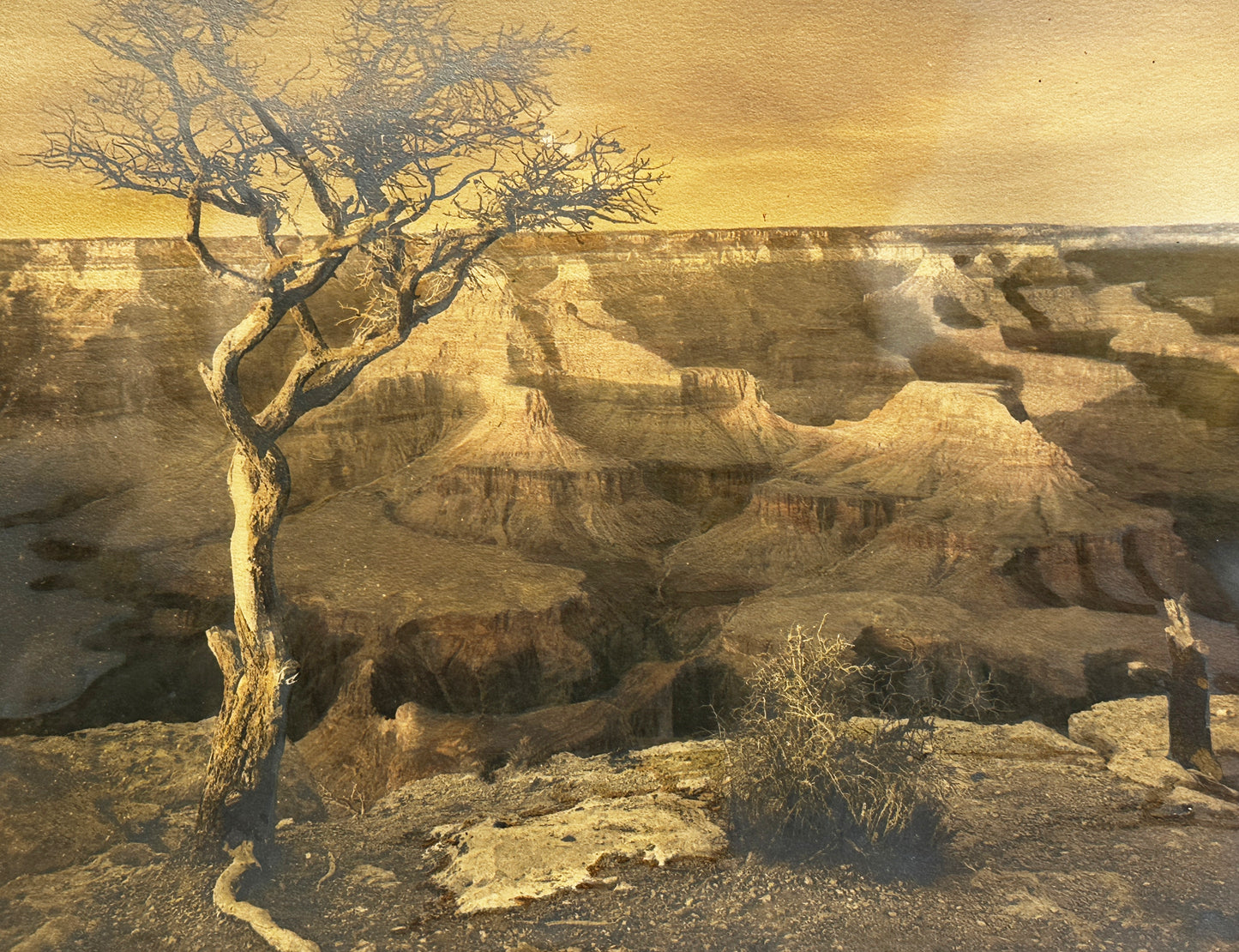 Unsigned Silverprint: Grand Canyon